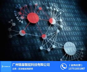 人工智能赋能未来 从数据处理到区域发展——以肇庆链基智能为例