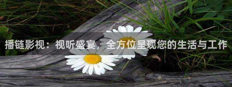 黑蚂蚁影视电视剧：播链影视：视听盛宴，全方位呈现您的生活与工作