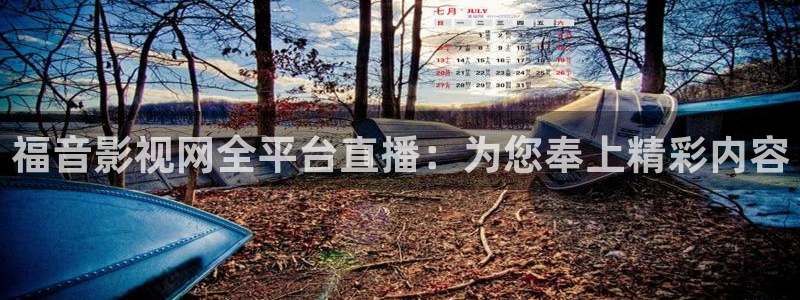 电视剧黑蚂蚁在线观看免费：福音影视网全平台直播：为您奉上精彩内容