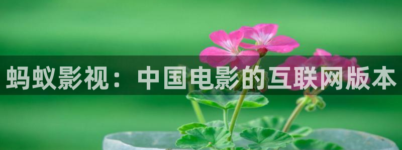 黑蚂蚁影院影视剧大全：蚂蚁影视：中国电影的互联网版本