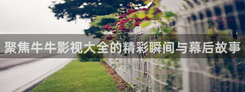 黑蚂蚁电影：聚焦牛牛影视大全的精彩瞬间与幕后故事
