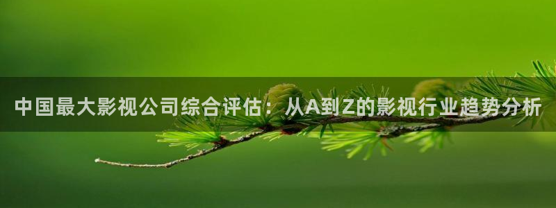 黑蚂蚁影视大全在线观看：中国最大影视公司综合评估：从A到Z的影视行业趋势分析