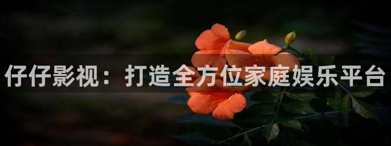 黑蚂蚁短剧网：仔仔影视：打造全方位家庭娱乐平台