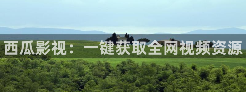 黑蚂蚁电视剧：西瓜影视：一键获取全网视频资源