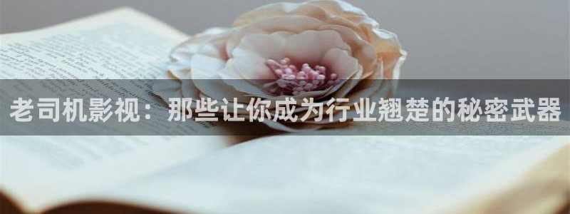 黑蚂蚁免费看：老司机影视：那些让你成为行业翘楚的秘密武器