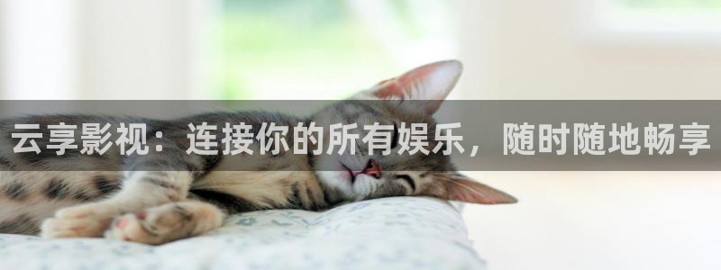 黑蚂蚁影视公司