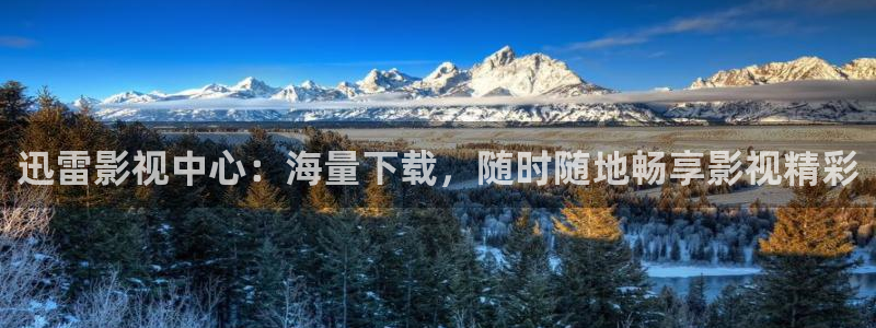 黑蚂蚁视频电视剧：迅雷影视中心：海量下载，随时随地畅享影视精彩