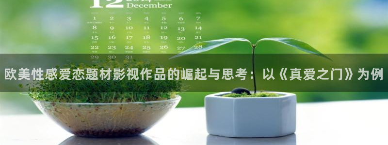 黑蚂蚁的价格