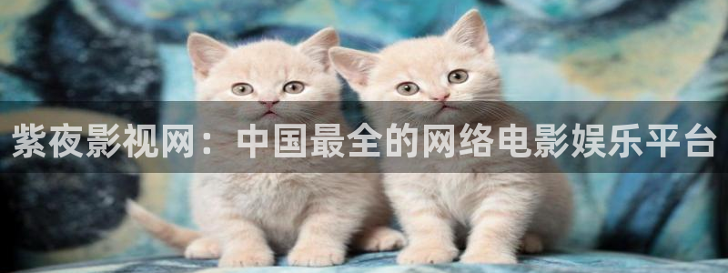 黑蚂蚁影院在线观看电视剧：紫夜影视网：中国最全的网络电影娱乐平台