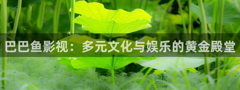黑蚂蚁电影：巴巴鱼影视：多元文化与娱乐的黄金殿堂
