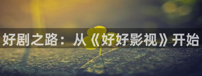 黑蚂蚁电视剧：好剧之路：从《好好影视》开始