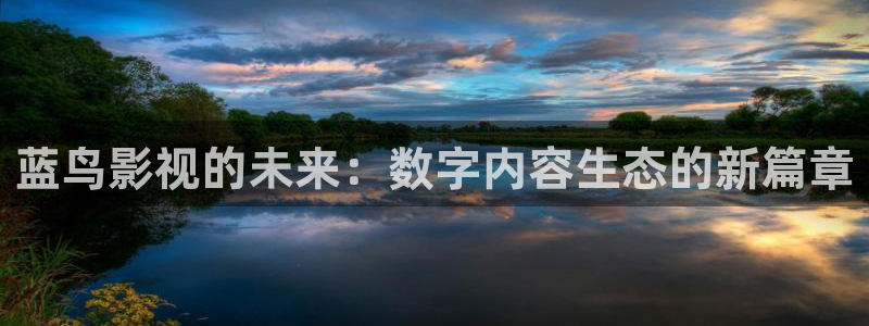 黑蚂蚁免费：蓝鸟影视的未来：数字内容生态的新篇章