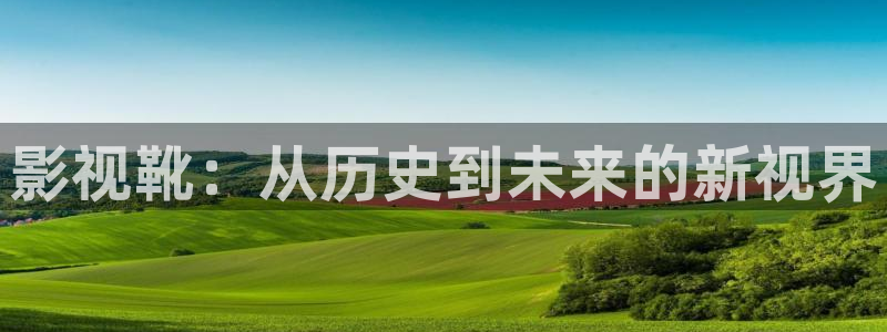 黑蚂蚁影视剧免费