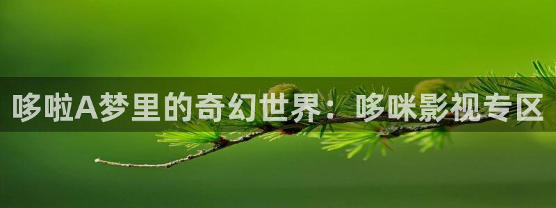 黑蚂蚁影院免费影视大全